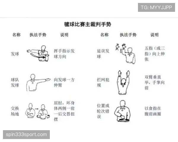 裁判手势规则解析:详解常见手势含义与适用场景 裁判手势规则解析:详解常见手势含义与适用场景
